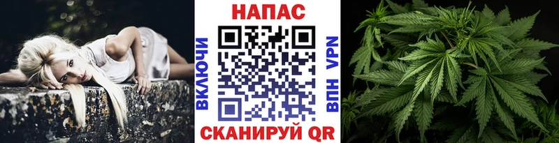Шишки марихуана планчик  Аркадак 